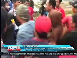 Gara-gara Bau Tak Sedap, Peternakan Ayam Diserbu Warga