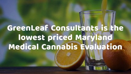 GreenLeaf Consultants Presentation video