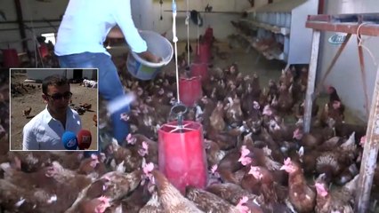 Haberlerde gördü, Devlet Desteği İle Çiftlik Kurdu