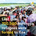 The Rohingya are marking their “Black Day,” a year since 70,000 Rohingya fled massacres in Myanmar.