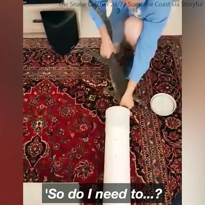 Meanwhile in Australia this could be under your bed 