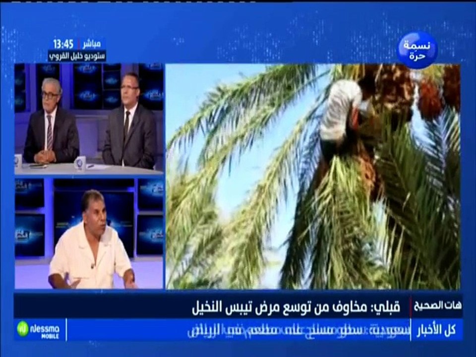 هات الصحيح الجزء الرابع : قبلي .. مخاوف من توسع مرض تيبس النخيل مع الضيف توفيق التومي -قناة نسمة