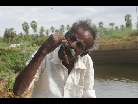 Dam fish cleaning and cooking in nature stove at nature location / Fish fry / Village food factory