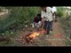 Pond fish cooking in green stick / VILLAGE FOOD FACTORY / STREET FOODS