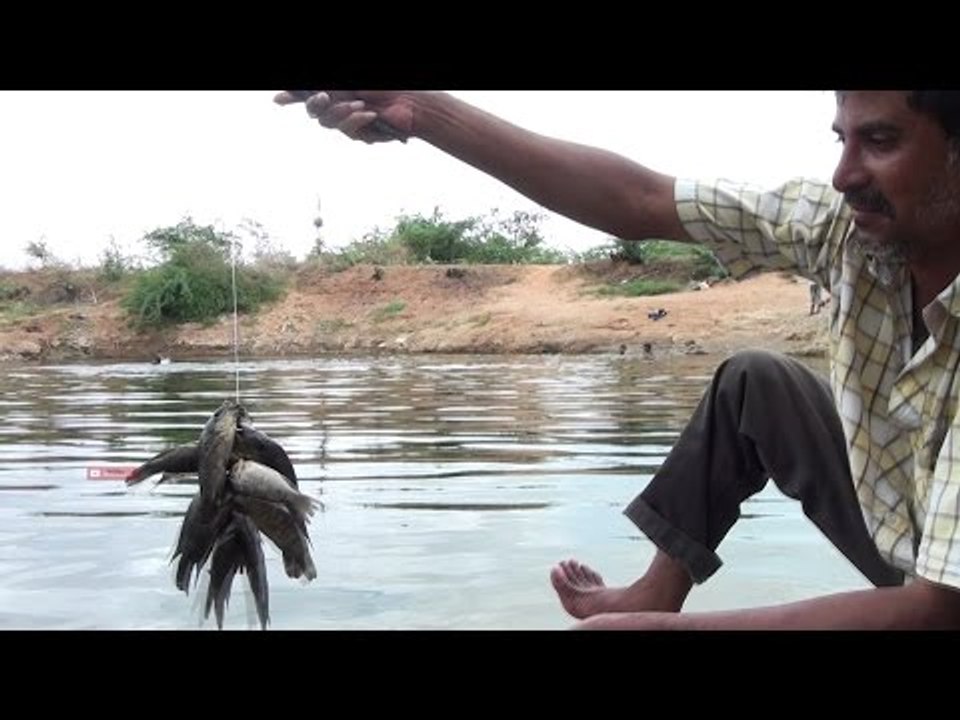 Fish Catching, Cleaning and Cooking in a different way / VILLAGE FOOD FACTORY / STREET FOOD