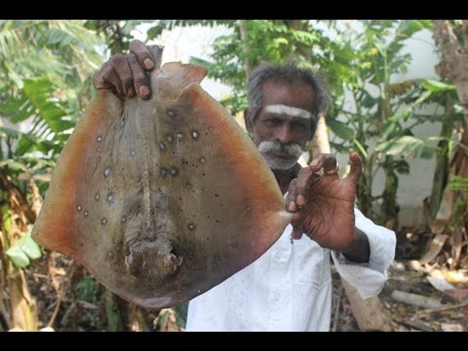 Stingray Fish banana leaves cooking in my village / Seafood / Village food factory