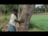 My friend theft Tender coconut in my village (Amazing taste) / VILLAGE FOOD FACTORY