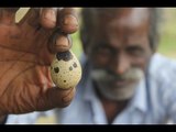 Quail egg with old rice my daddy in my village  / VILLAGE FOOD FACTORY