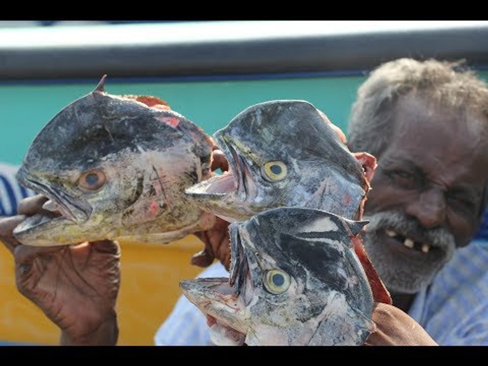 Fish Gravy Prepared by My Daddy ARUMUGAM / Village food factory / Meen Kulambu.