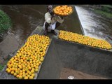 Orange juice prepared for under Middle class Relations / DADDY / ARUMUGAM/ Village food factory