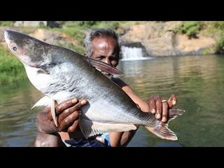BIG FISH gravy with Idly prepared my daddy in ooty falls / VILLAGE FOOD FACTORY