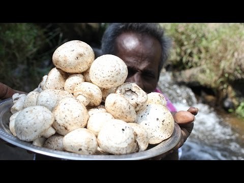 Daddy prepare a MUSHROOM gravy in water falls/village food factory