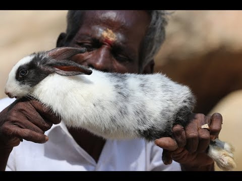 Grilled RABBIT !!! Prepared by my daddy Arumugam / Village food factory