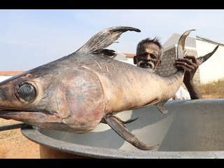 BIG Full FISH Gravy / Village food factory DADDY