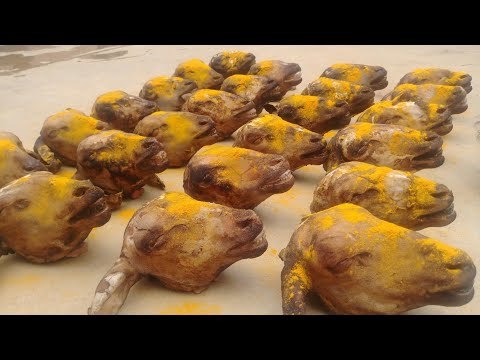 KING GOAT HEAD / Prepared by my DADDY Arumugam / Village food factory