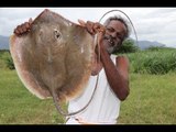 STINGRAY / South Indian authentic STINGRAY Fish Kulambu Prepared by my DADDY / Village food factory