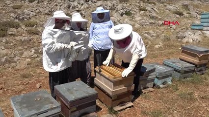 Mersin Yörük Kadınları Arıcı Oldu