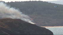 Beykoz Riva'da Askeriye Ait Alanda Orman Yangını Çıktı