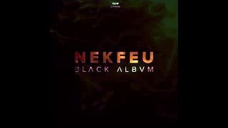 Nekfeu - Hommage aux petites graines (Black Album)