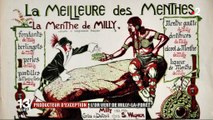 Agriculture : l'or vert de de Milly-la-Forêt