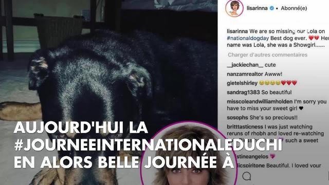 PHOTOS. Laura Smet, Mariah Carey, Christophe Beaugrand, Alice Belaïdi... les stars célèbrent la journée mondiale du chien