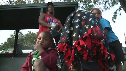 Woman Arrested After Allegedly Trying to Kidnap Baby from Stroller