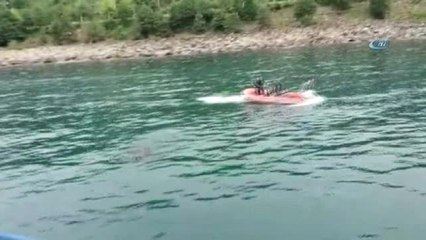 Denizde Yüzerken Bulunan Danayı Haluk Levent Satın Aldı