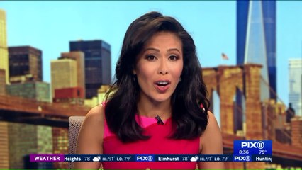 Police Search for Man Accused of Writing 'Nazi Pig' on FDNY Ambulances