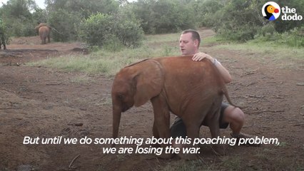 Un bébé éléphant pas très commode qui deteste les interviews