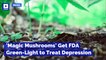 'Magic Mushrooms' Get FDA Green-Light to Treat Depression