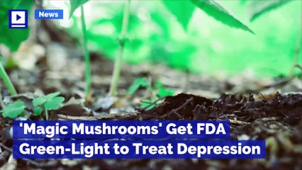 'Magic Mushrooms' Get FDA Green-Light to Treat Depression