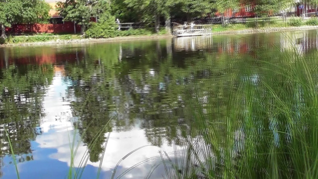 Aug 25 2018 F1