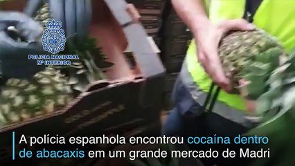 Cocaína em abacaxis