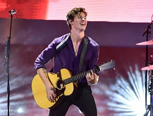 Shawn Mendes Reigns Over iHeartRadio MMVAs