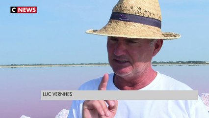 En Camargue, la récolte de sel est une affaire de famille