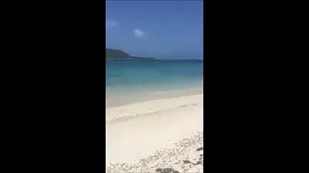 Look who is enjoying splashing about in the ocean this morning!