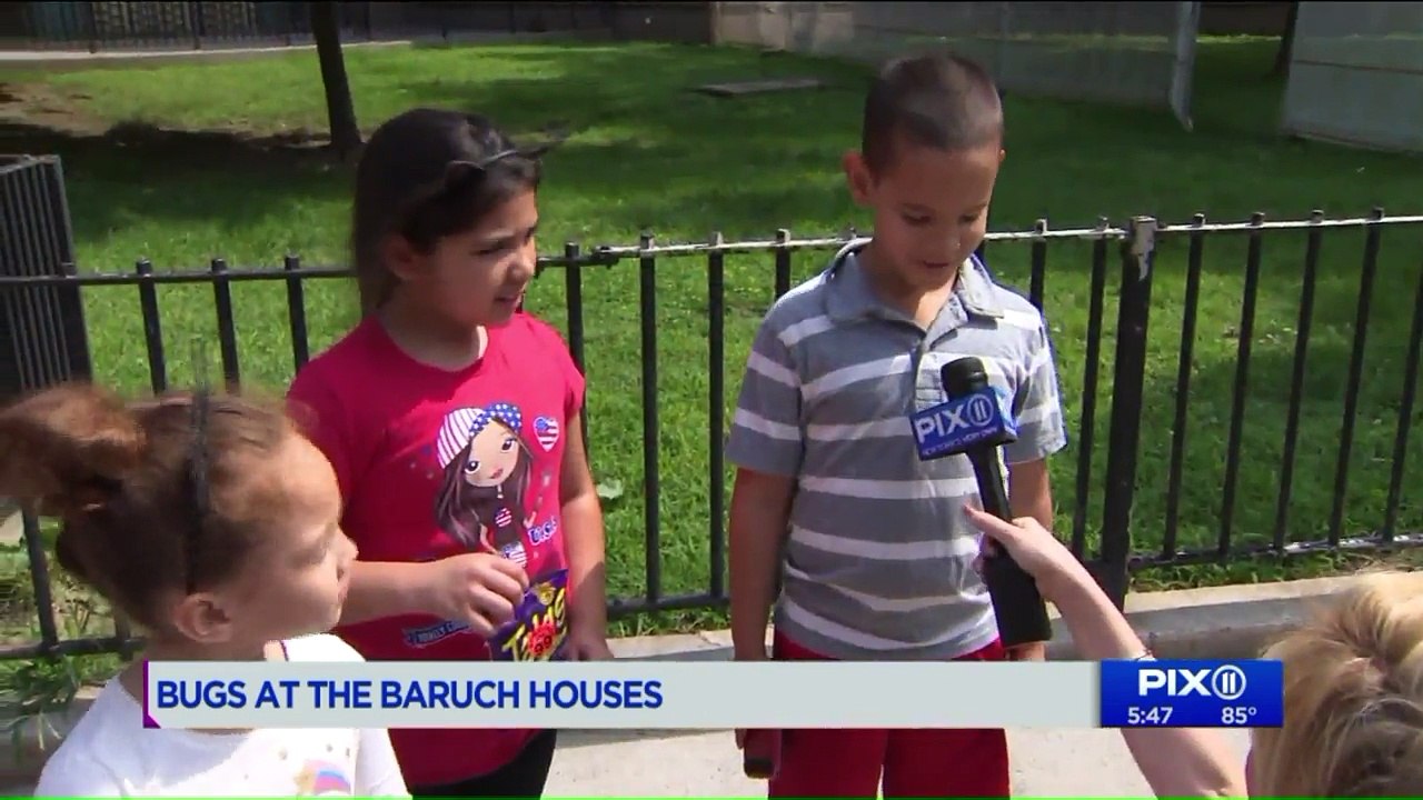 Mom Says Roach Fell into Baby's Crib at NYC Housing Apartment