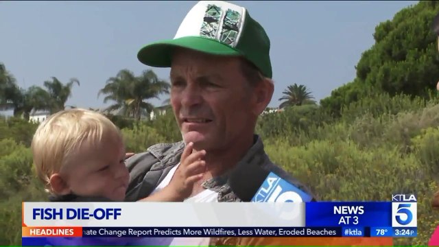 Investigation Underway After Hundreds of Fish Die in Malibu Lagoon