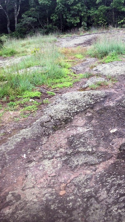 Brian Ghilliotti: Finally reach mountain peak and discover "Waramaug Rock", which is really a cluster of rocks