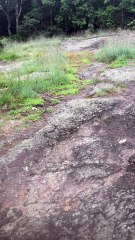 Brian Ghilliotti: Finally reach mountain peak and discover "Waramaug Rock", which is really a cluster of rocks