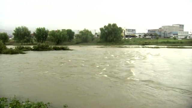 '시간당 60mm 폭우' 대전 호우경보...피해 잇따라 / YTN