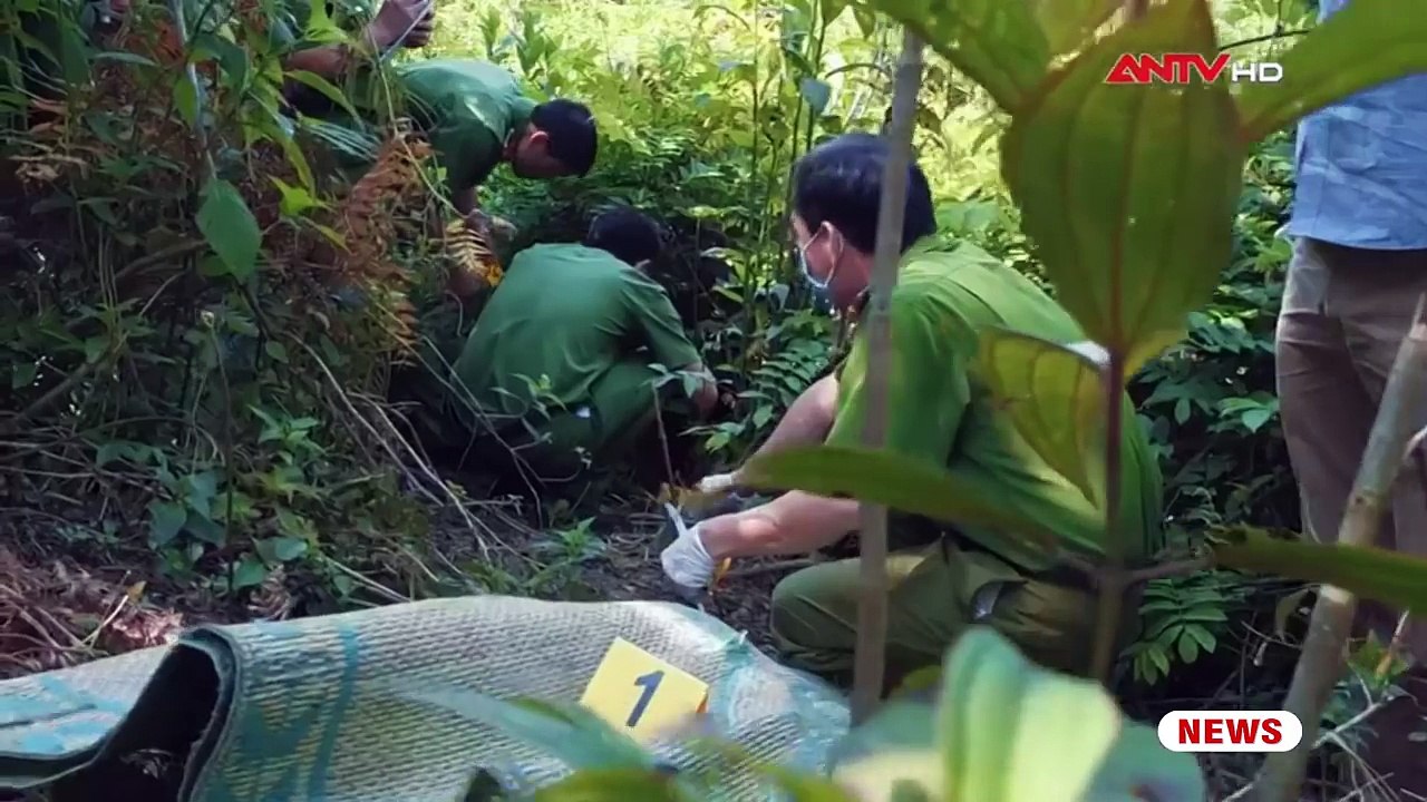 KẺ SÁT NHÂN lôi bé gái 11 tuổi vào RỪNG XÂM HẠI PHẦN 2 l HÀNH TRÌNH PHÁ ÁN | ANTV