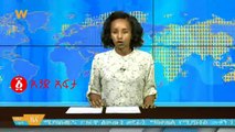 Ethiopia:  በዶ/ር አብይ የተጎብኙት እማሆይ አዱኛ ደስታ ያጥለቀለቀዉ አስተያየት!!
