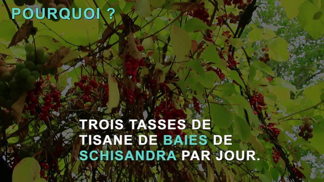 3 boissons pour brûler la graisse