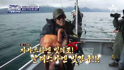 용왕의 아들 일냈다! 초거대 문어 등장! #미친 문어의 충격적인 크기로 모두 초토화!!