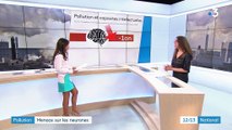 Pollution : menace sur les neurones