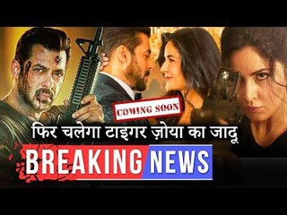 सलमान कैटरीना जल्द ही शुरू करेंगे टाइगर जिंदा है के सीक्वल की तैयारी | भारत में होगा कटरीना का रोल ?
