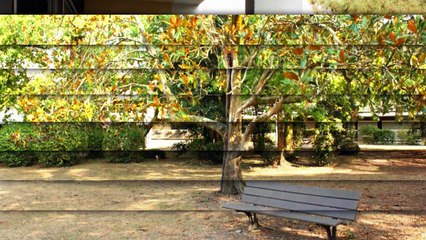 A vendre - Appartement - Le bouscat (33110) - 4 pièces - 85m²