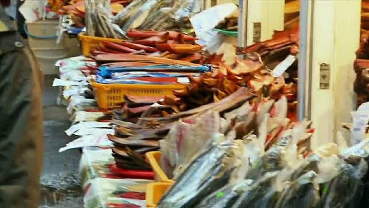 Extreme Fishing With Robson Green s05e04 Eastern Russia video Dailymotion