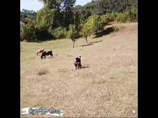 Drone Gören Masum Köylü